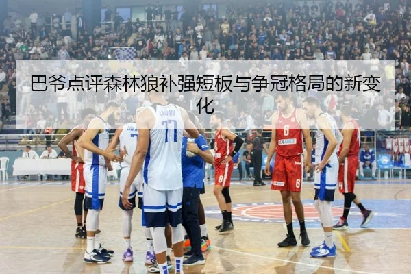巴爷点评森林狼补强短板与争冠格局的新变化